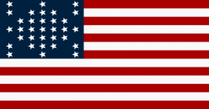 Ft Sumter storm flag