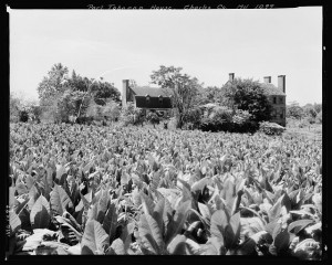 Port Tobacco Houses, Port Tobacco, Charles County, Maryland