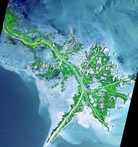 Mississippi delta from space by NASA