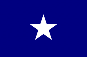 Bonnie Blue Flag