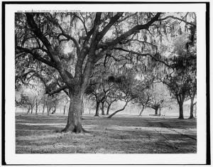 Old duelling grounds, New Orleans, Louisiana (c1900; LOC: LC-DIG-det-4a05039)