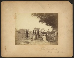 Sweet potato planting, Hopkinson's Plantation (1862; LOC: LC-DIG-ppmsca-11398)