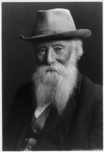 John Burroughs, 1837-1921(c1909; LOC: LC-USZ62-86843)