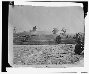 Antietam, Maryland. Battlefield on the day of battle (by Alexander Gardner, 1862 Sept. 17; LOC: LC-DIG-cwpb-01162)