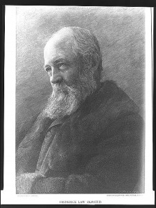 Frederick Law Olmsted (engraved by T. Johnson ; from a photograph by James Notman. Oct. 1893; LOC: LC-USZ62-36895)