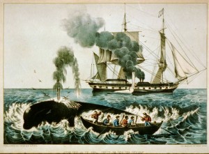 Whale fishery: attacking a right whale (New York : Published by Currier & Ives, (between 1856 and 1907); LOC: LC-USZC2-1759)