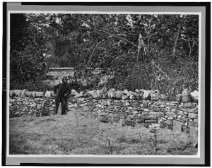 Soldier standing at graves of Federal soldiers, along stone fence, at Burnside Bridge, Antietam, Maryland (by Alexander Gardner, photographed 1862, printed later; LOC:  LC-USZ62-116321)