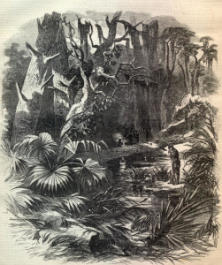 louisiana-swamp-soldier Harper's Weekly, May  9, 1863