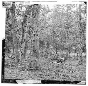 Gettysburg, Pennsylvania. Battered trees on Culp's Hill (1863; LOC: LC-DIG-cwpb-01646)