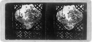 A visit to the "Central Park" in the summer of 1863 (by Thomas C. Roche, 1863; LOC:  LC-USZ62-98440)