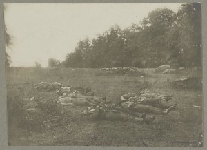 Dead in "the wheat field", Gettysburg (by Alexander gardner, photographed 1863 July, printed between 1880 and 1889; LOC: LC-DIG-ppmsca-32930)