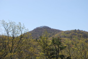 igh Knob along en:Shenandoah Mountain, taken from along the en:U.S. Route 33 crossing of the mountain. Dark green tree in foreground is Pinus pungens.