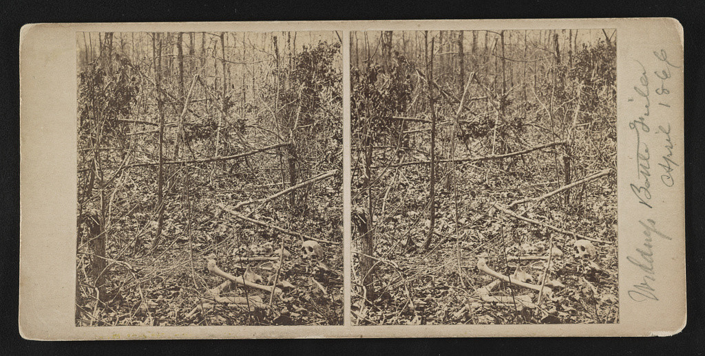 Wilderness battlefield, April 1866 (LOC: LC-DIG-stereo-1s03980 )