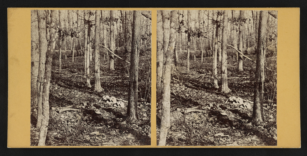Soldier's graves near cemetery no. 2 (Wilderness) (by G. O. Brown,  Baltimore, MD : American Scenery (Stereoscopic) 267 West Lexington St., [1865]; LOC: http://www.loc.gov/pictures/item/2015647109/)