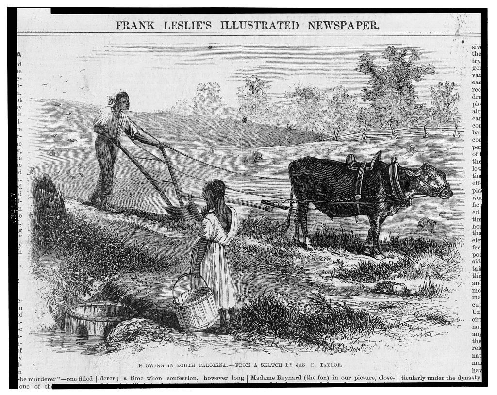 Plowing in South Carolina / from a sketch by Jas. E. Taylor. ( Illus. in: Frank Leslie's illustrated newspaper, v. 23, no. 577 (1866 October 20), p. 76. ; LOC: http://www.loc.gov/item/2004669782/)