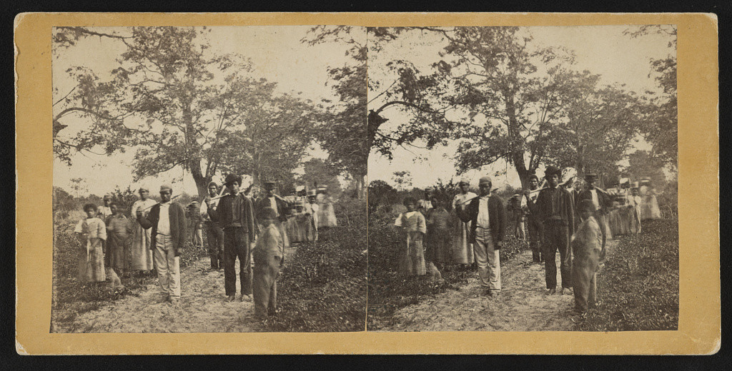 Group of Negros on their way to the cotton field, St. Helena Is. [i.e. Island], S.C. (Photograph shows freedmen on the Marion Chaplin Plantation on St. Helena Island, South Carolina.; LOC: https://www.loc.gov/item/2015646735/)