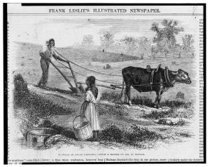 Plowing in South Carolina / from a sketch by Jas. E. Taylor. ( Illus. in: Frank Leslie's illustrated newspaper, v. 23, no. 577 (1866 October 20), p. 76.; LOC: https://www.loc.gov/item/2004669782/)