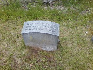William Johnson gravestone Restvale Cemetery, Seneca Falls, NY 5-15-2016