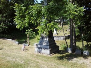 Johnson family plot, Restvale cemetery, Seneca Falls, NY 6-26-2016