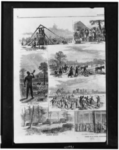 Scenes on a cotton plantation / sketched by A.R. Waud. left ( Illus. in: Harper's weekly, 1867 Feb. 2, pp. 72-73. ; LOC: https://www.loc.gov/item/96513748/)