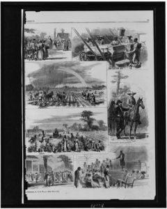 Scenes on a cotton plantation / sketched by A.R. Waud. left ( Illus. in: Harper's weekly, 1867 Feb. 2, pp. 72-73. ; LOC: https://www.loc.gov/item/96513748/)