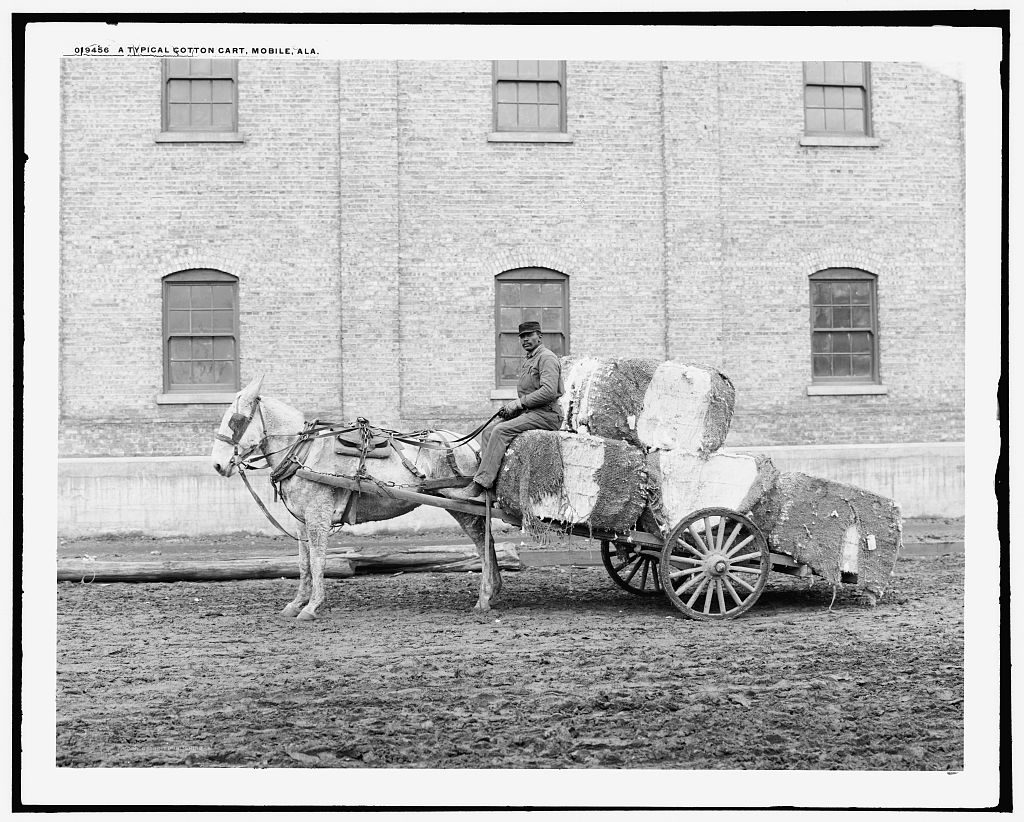 A Typical cotton cart, Mobile, Ala. (c1906; LOC: https://www.loc.gov/item/det1994012053/PP/)