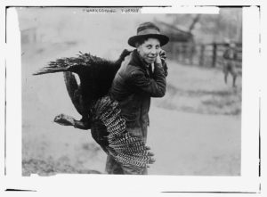 Thanksgiving turkey ([between ca. 1910 and ca. 1915; LOC: https://www.loc.gov/item/ggb2005011260/)
