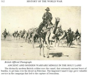 camels (History of the World War (http://www.gutenberg.org/cache/epub/18993/pg18993-images.html)