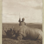 Col. Roosevelt with his big bull rhino (LOC: https://www.loc.gov/item/2010645479/)