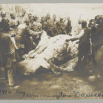 Hippo shot by Roosevelt (c 1910 Mar. 14.LOC: https://www.loc.gov/resource/ppmsca.36560/)